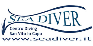 sea diver