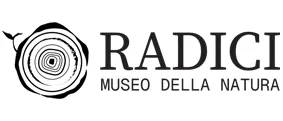 Logo-radici-siciliambiente-25 Logo Radici Piccolo Museo della Natura